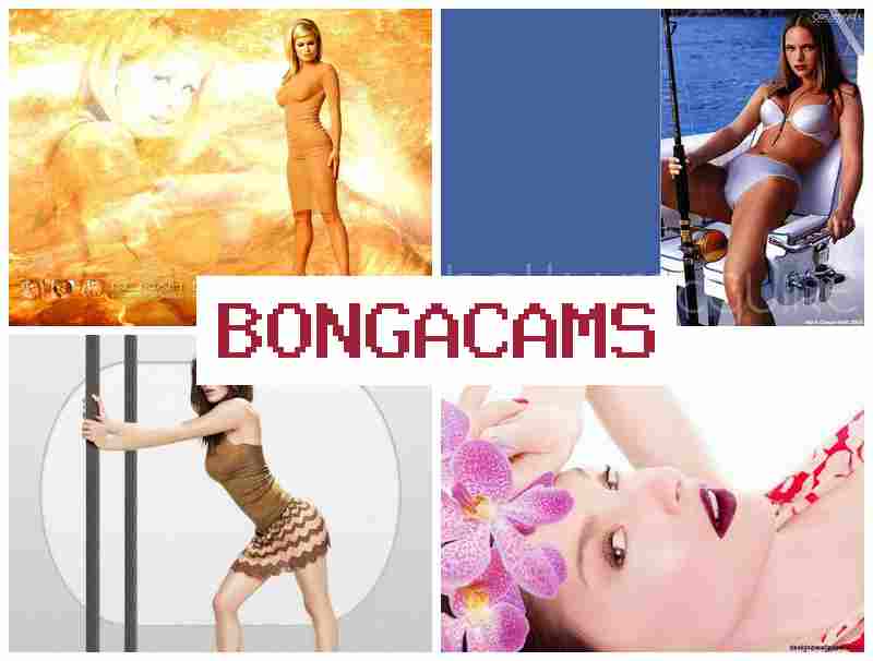 BONGA CAM 💋 Blue Film Sex & Cute Showing Webcam