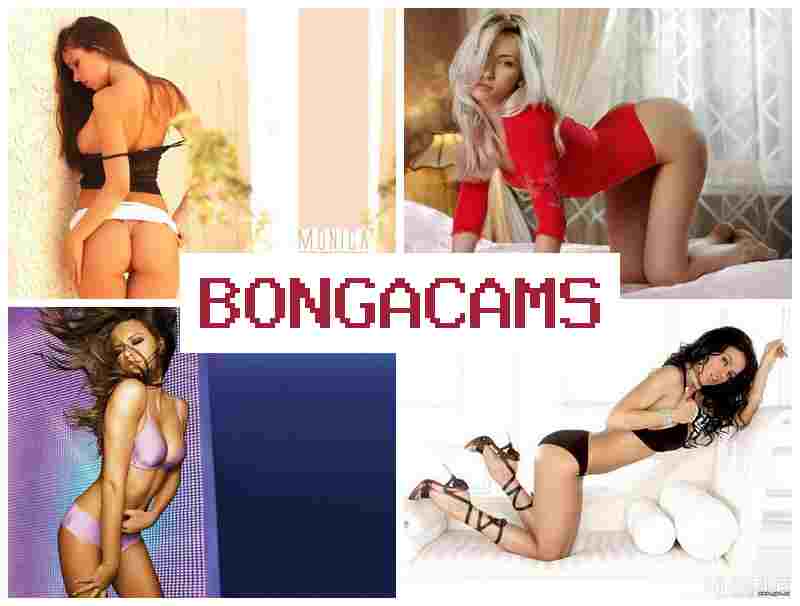 BONGA CAMMS 🌟 Rule Porn & Big Ass Wife Sex BONGA CAMMS 🌟 Rule Porn & Big Ass Wife Sex