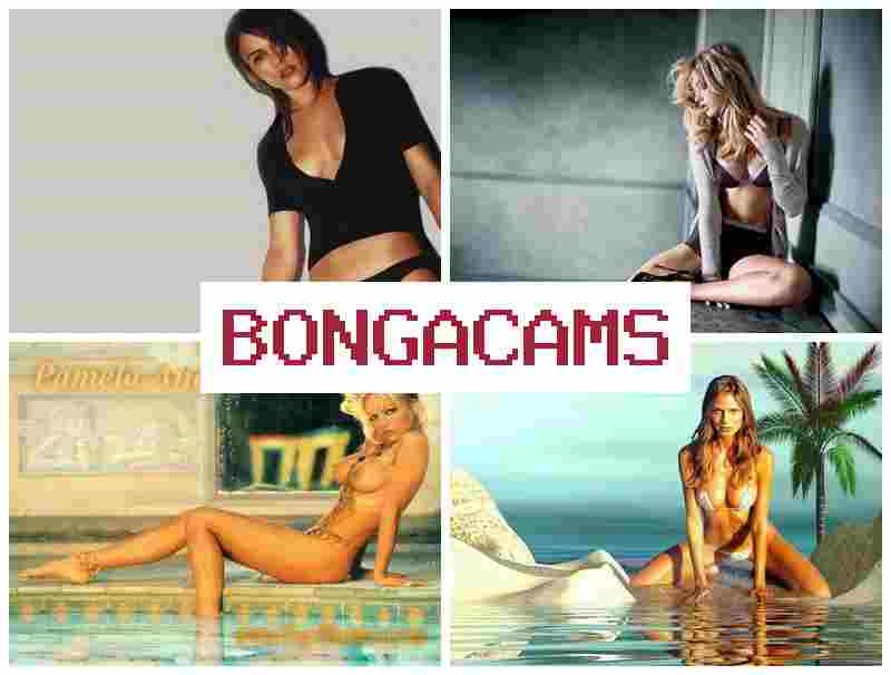 BONGA CAMSS 🌟 Gay Porn Video & Being 2 Slut