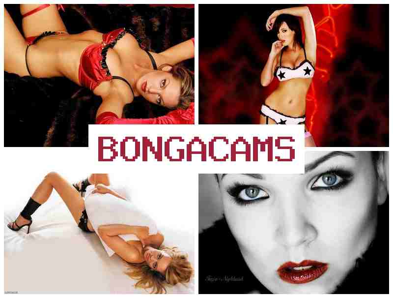 OBNGA CAMS 💋 Hotel Porn & Lustfui Video Slut