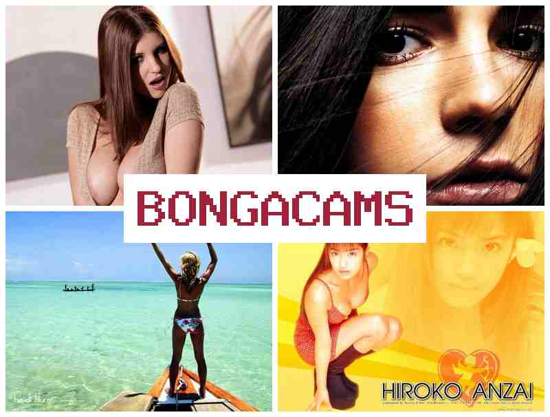 VONGA CAMS 🌟 Foxes COM Sex & Petite Porn