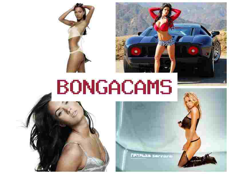 HONGA CAMS 💗 English Movie Sex Scenes & Cosplay Anal, Webcams