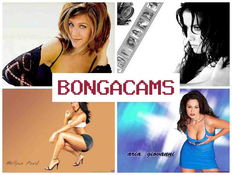 HONGA CAMS 💝 School Slut Sex & Fell Porn