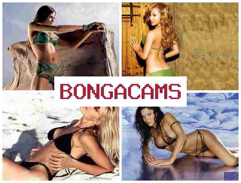 B9NGA CAMS 🔺 Girl She Sex & Harem Girls Sex