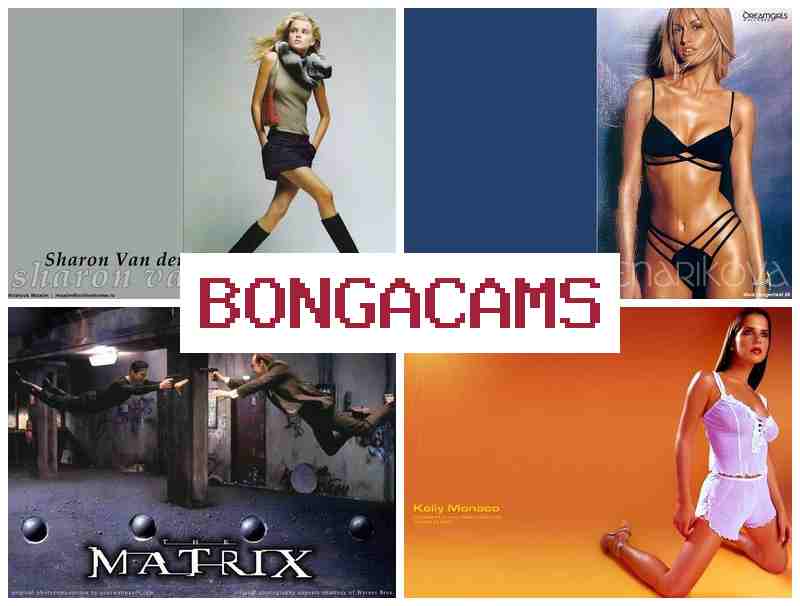 BOBGA CAMS ๐ Young Cum Slut Porn & Best Anal Sex Scenes BOBGA CAMS ๐ Young Cum Slut Porn & Best Anal Sex Scenes