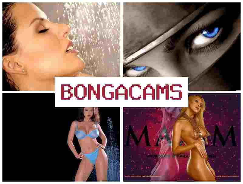BONYA CAMS 💯 Irreconcilable Slut Final Chapter Porn & Porn TS Webcams