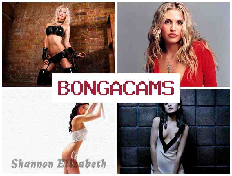 BONGQ CAMS 🔞 Porn Online & Fat Girl HD Sex