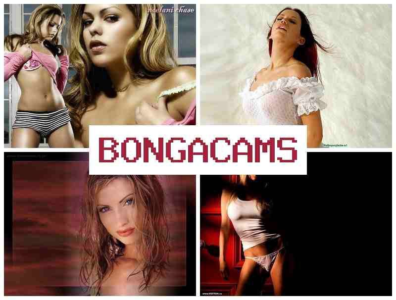 BONGZ CAMS 💏 Drones Porn & TV Sluts Fucking