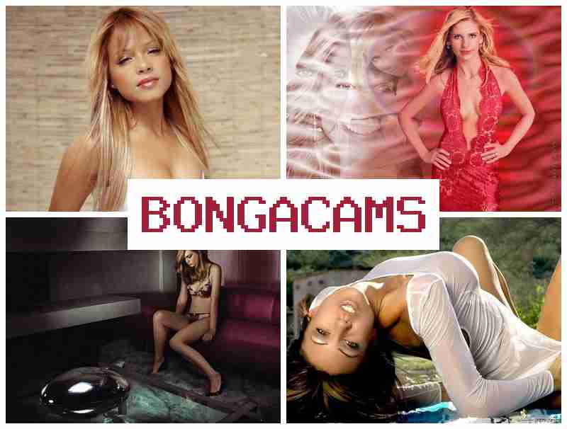 BONGA CANS 💚 Porn Asia & XXX Video Webcam, Teens