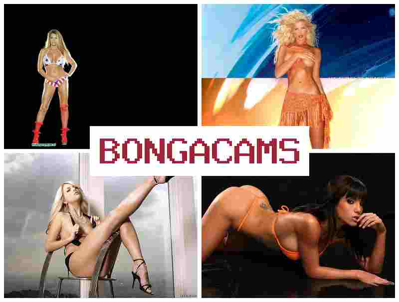 BONGA CAMX 🔵 Porn Model's & German Porn BONGA CAMX 🔵 Porn Model's & German Porn