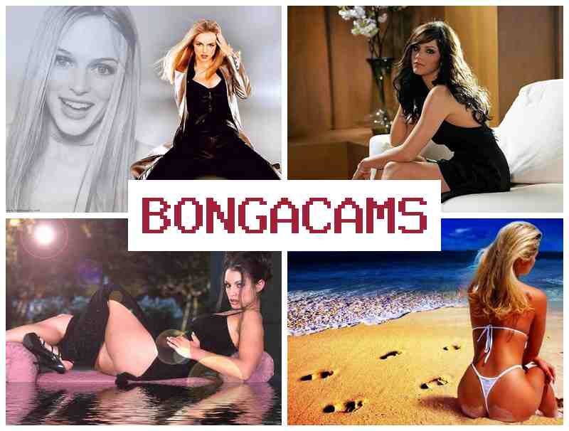 BONGACAAMS 🔷 Webcam Public XXX & Webcam, Anal Dildo