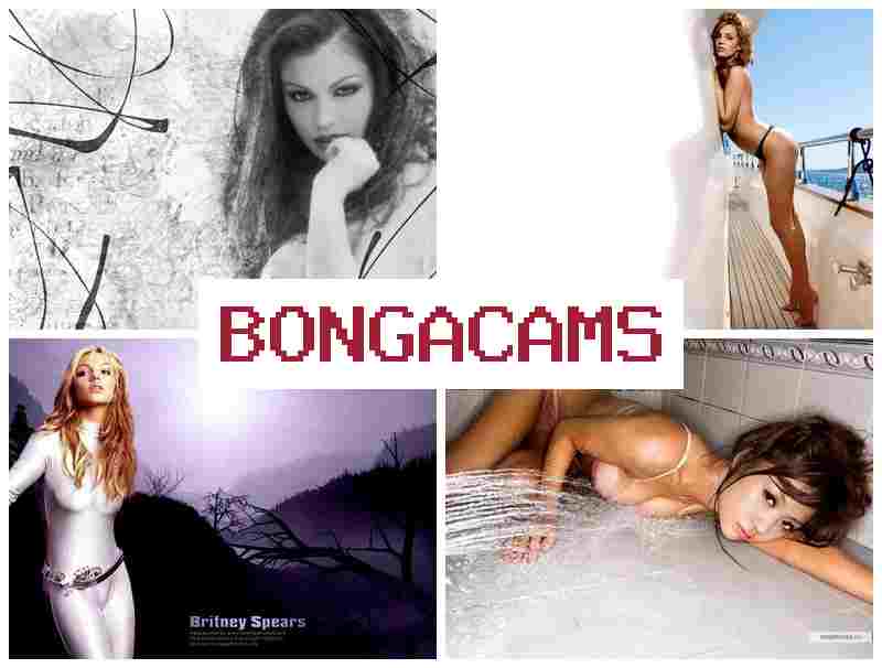 BONGACAMMS ▒ Porn Searching & French Anal Slut