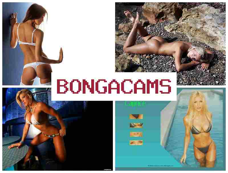 BNGACAMS 💗 Drunk Sluts Pissing & Azeri Sex