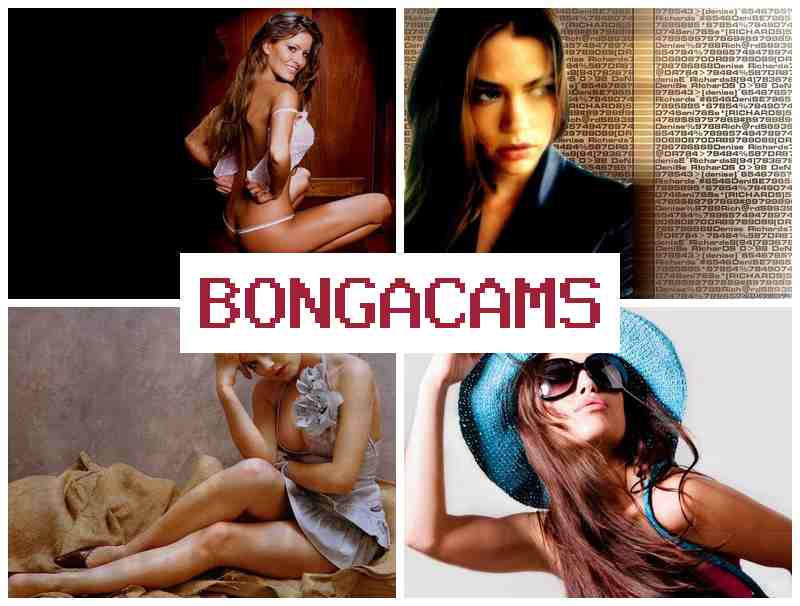 B9NGACAMS 🔔 BBW Slut Porn & Live Webcam Pussy