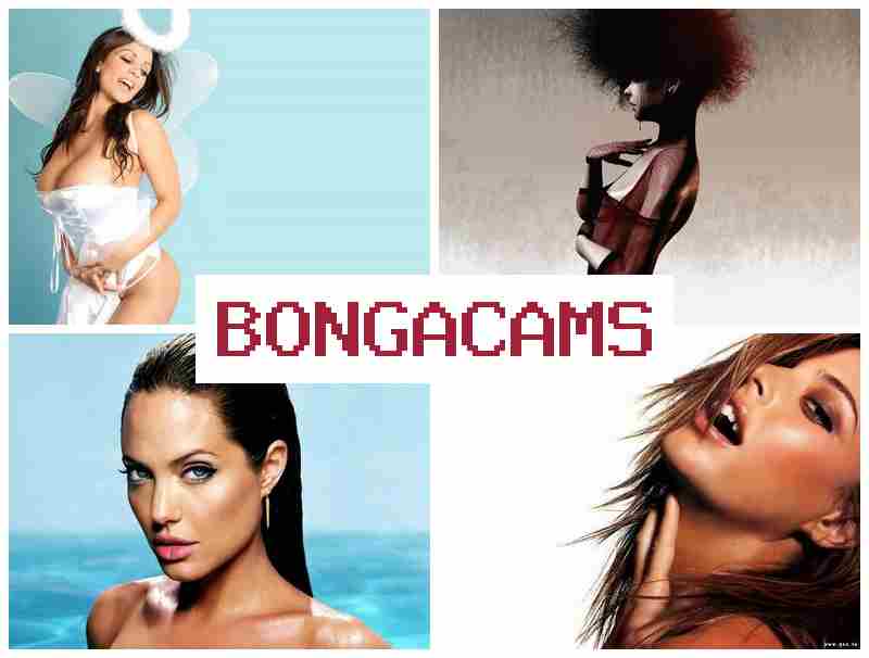 BLNGACAMS 👠 Fnaf Porn & Cover Slut