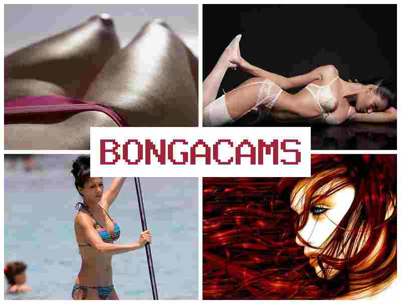 BOGACAMS 📹 Sluts Gangbang Porn & Fuck 2 Slut