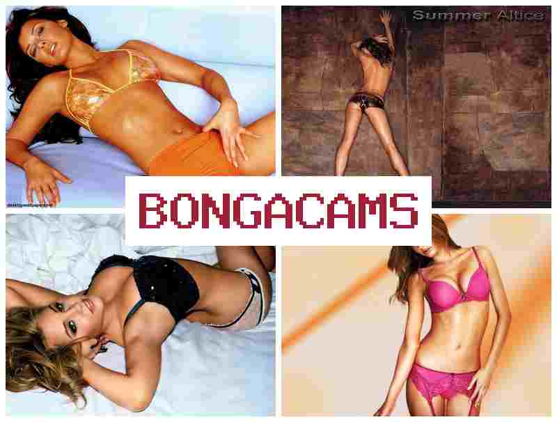 BONGADAMS 💑 PMV Porn & Mom+Son, Webcam