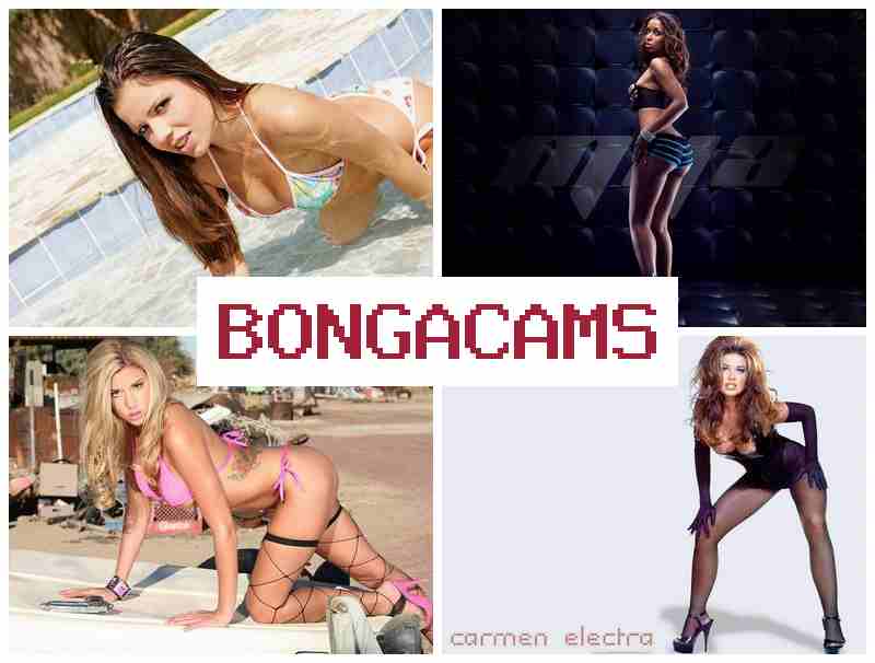 BONGACANS 🔴 Free Porn Milfs Sex & Cheating Slut Wife Porn