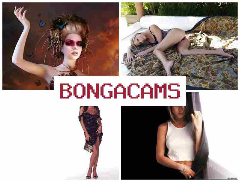 BONGACAMD ๐บ 3D Porn & Webcams Videos Forum Girls BONGACAMD ๐บ 3D Porn & Webcams Videos Forum Girls