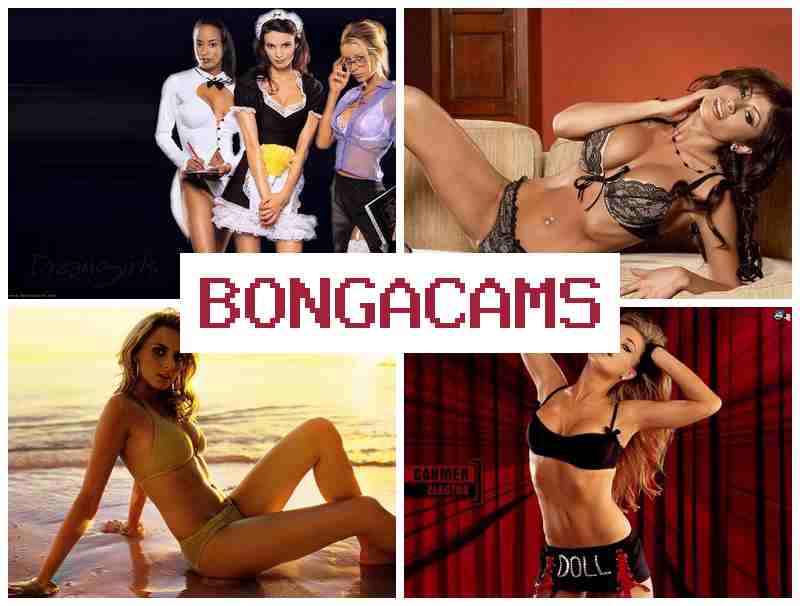 ONGA CAMS 👩 Anal Fisting Solo, Webcams & Webcam Models, Private Solo