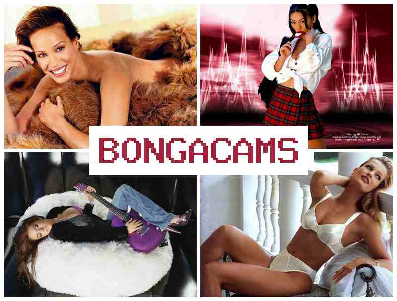 BONGA AMS ๐ถ Big Tits Japan Sex & Porn Slut Deep Throat BONGA AMS ๐ถ Big Tits Japan Sex & Porn Slut Deep Throat