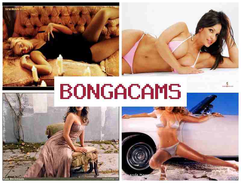 BONGA CMS β Slut TG & BBW Wife Sex Video BONGA CMS β Slut TG & BBW Wife Sex Video