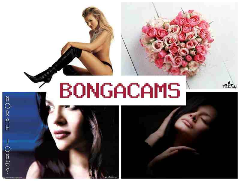 BONGA CCAMS 🔶 Genshin Porn & Preteen's Porn