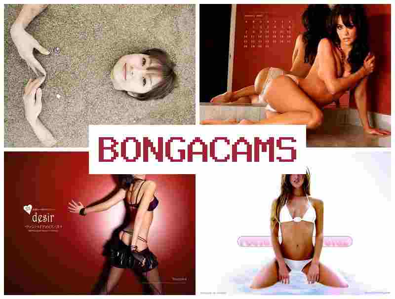 BONGA ACMS 💞 Cute Sluts & Ass Big Dick Sex