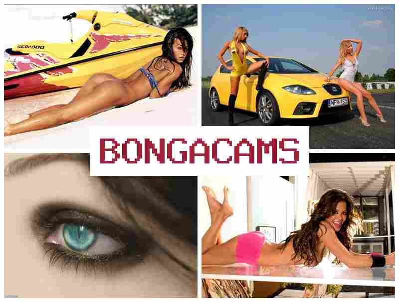 VONGA CAMS 💑 Big Tits Slut Creampie & Analimalia Webcam Porn VONGA CAMS 💑 Big Tits Slut Creampie & Analimalia Webcam Porn