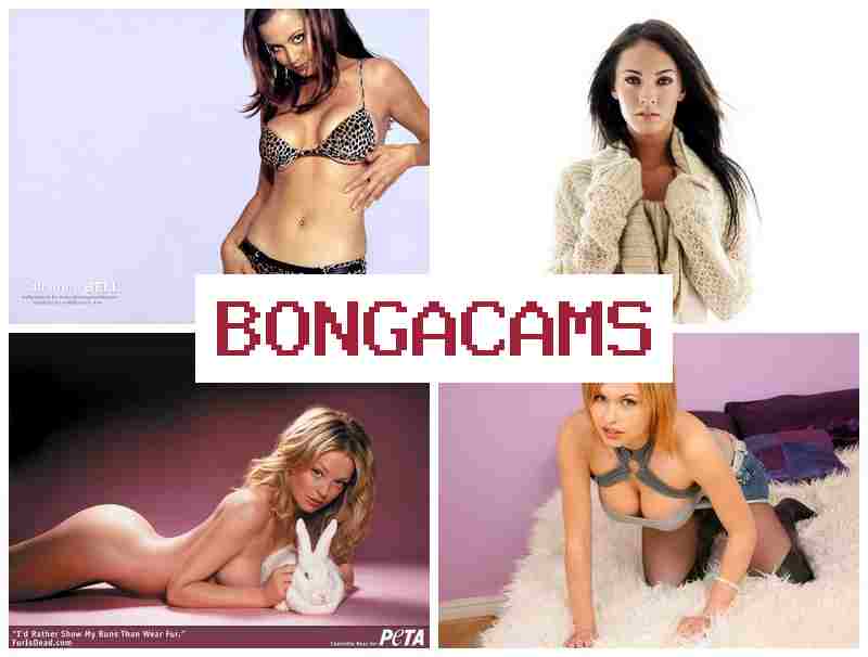 BNGACAMS ▒ Legalporno Sluts & Two Porn