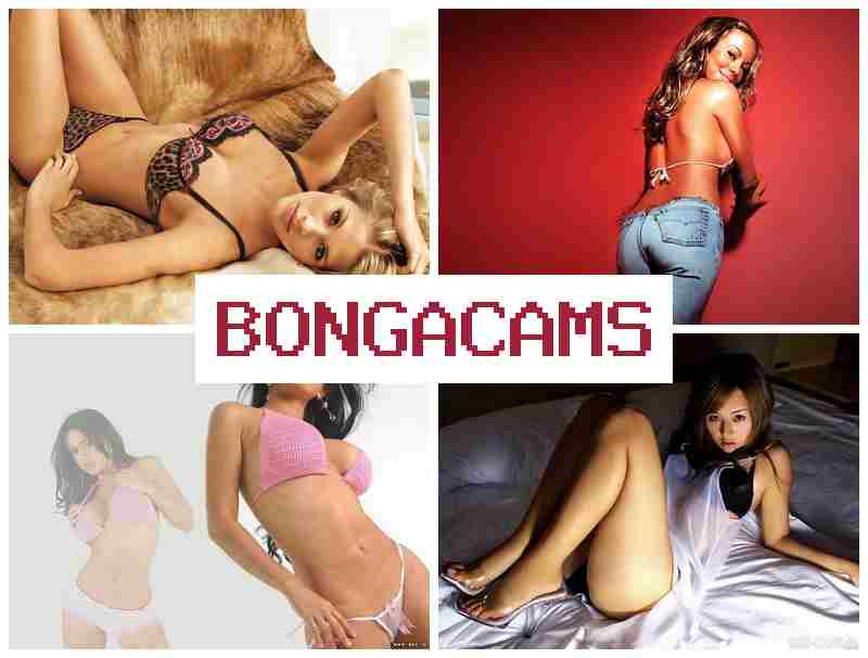 B9NGA CAMS 💗 Broken Sluts Sex & Dream Porn