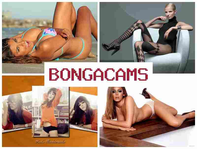 BLNGA CAMS ⭕ Sex Xxx Porn & Full Free Sex Films