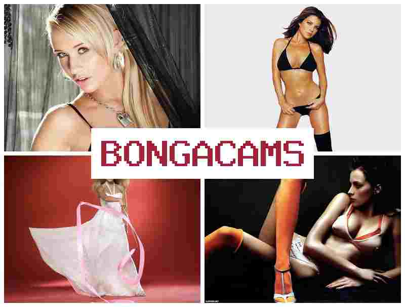 BKNGA CAMS 💟 Free Download Sex Films & 34 Video Sex