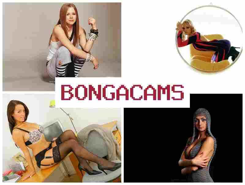 BONNGACAMS 👠 Chubby Ass Sex Porn & Perfect Porn