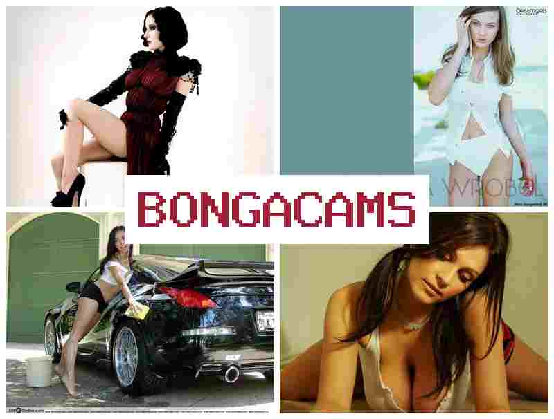 BONGGACAMS 💛 Handjob Porn & Young Girls Photo Webcam