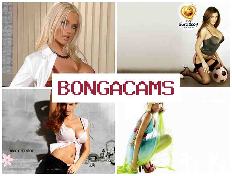 BONGA CQMS 💖 New Webcam Shows & Free Webcam, Anal