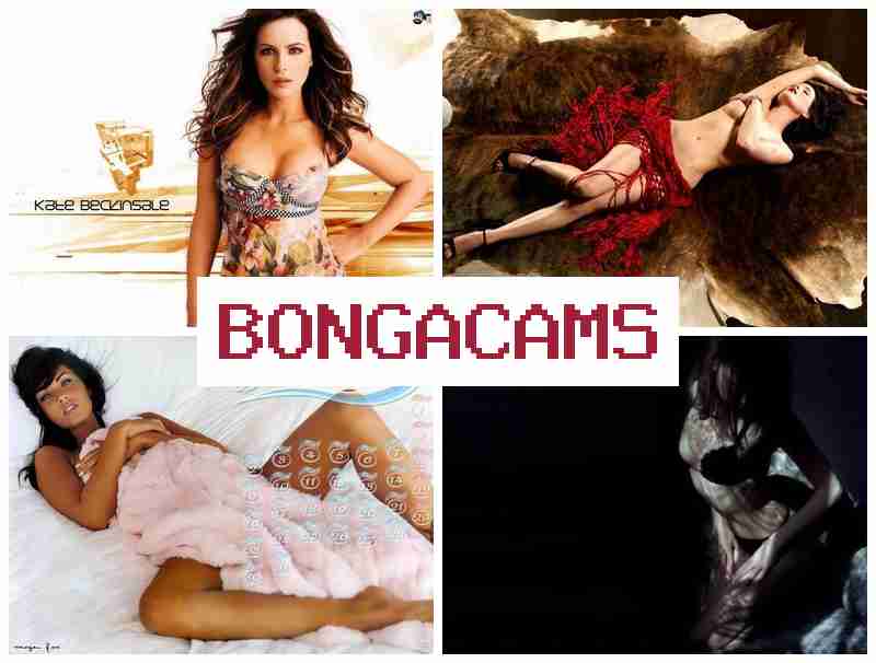 BONGA CANS 💓 Film O Sex & Onlyfans Porn Videos