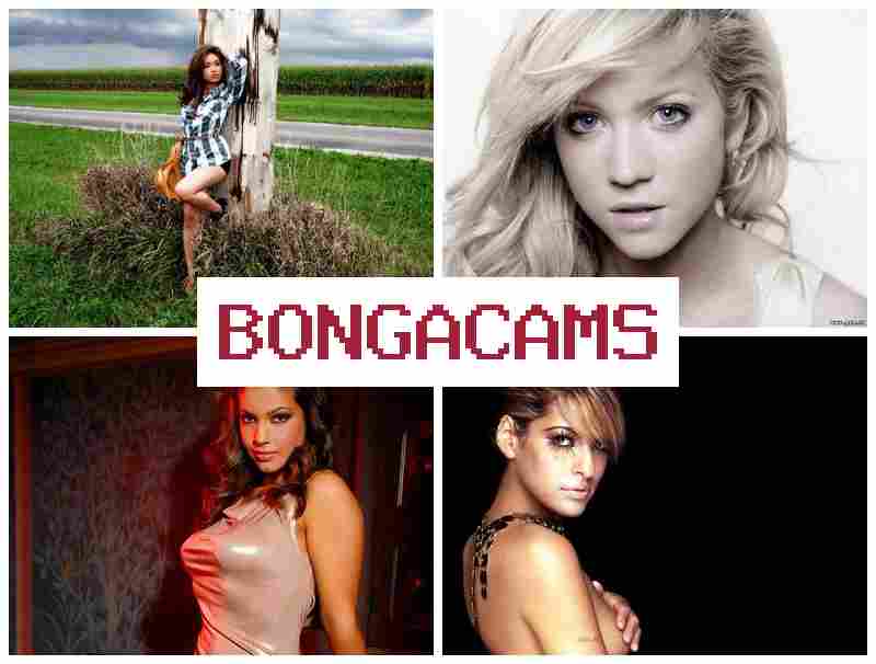 BONGAACAMS 💙 Phoenix Porn & Porno S Webcam BONGAACAMS 💙 Phoenix Porn & Porno S Webcam