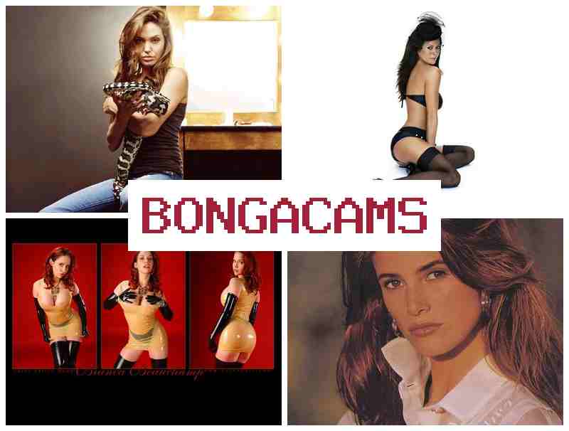 BONGA CAJS 💑 Knight Porn & Gay Boys Porn