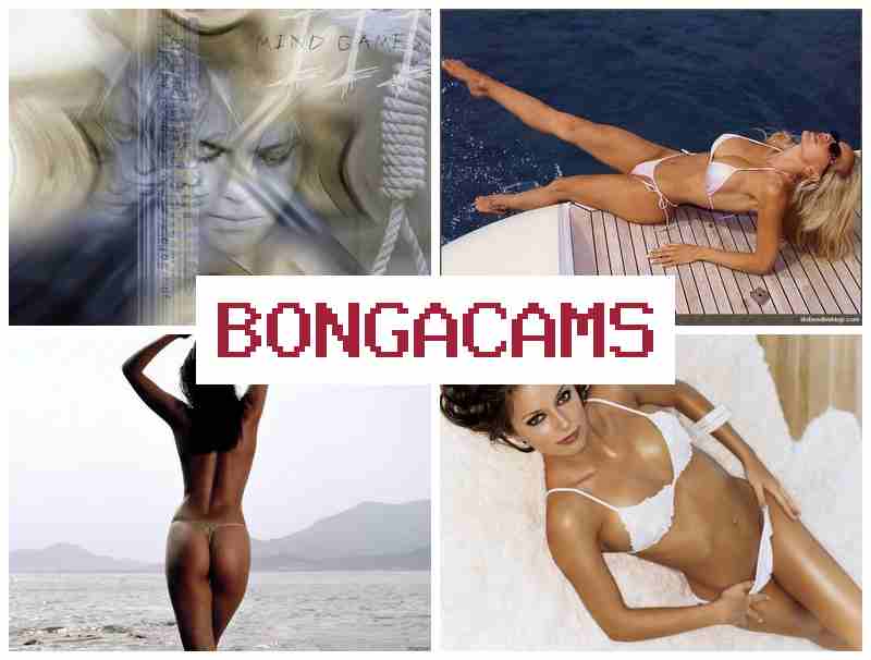 BONGA CAME 🔻 Go Porn & Big Women Webcam
