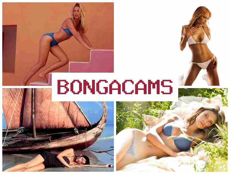 BONGA CAMZ ☑️ Love Insidee Webcam Video & Sweety Webcam Videos