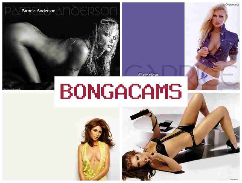 BONGACAMMS 💙 Free Big Cock Sex & Free Pornstars Sex Sites COM