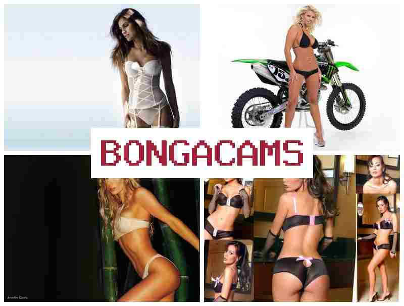 BONGACAMSS 💖 Starr Porn & Big Boobs Big Ass Model Sex