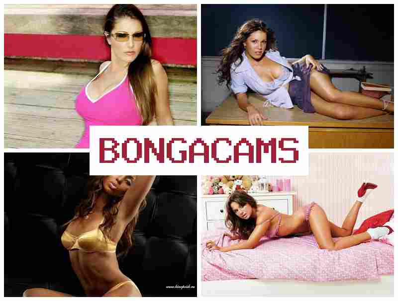 BNOGACAMS 👩 Lovense Video Webcam & Student's Porn