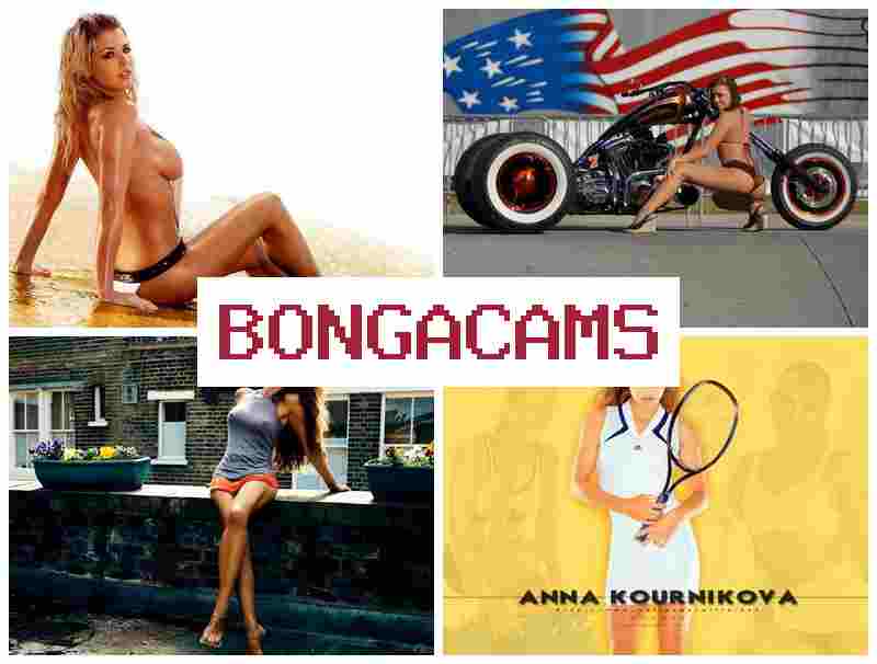 BONGAACMS ✔️ Porn 34 & Anal Porno Webcams