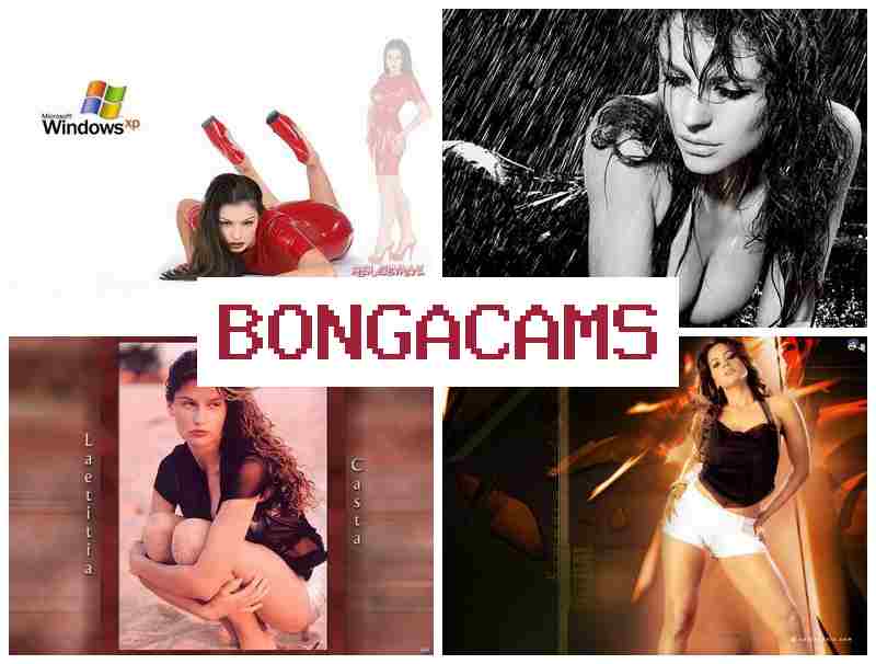 BONGACMAS 💕 Thai Sex Slut Sex & Hard Sluts