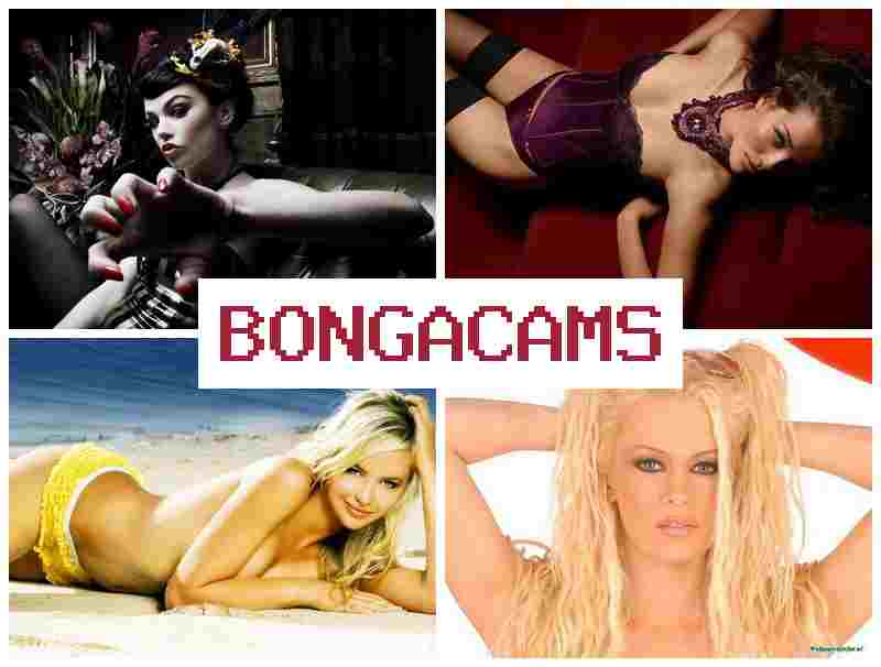 BONACAMS 🔞 Foxes COM Sex & Anonymous Sex Video Chat