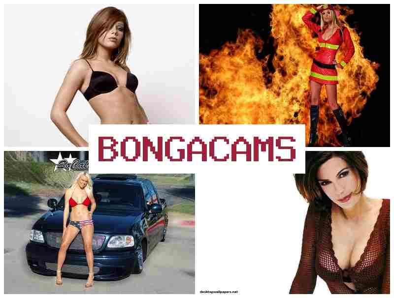 BINGACAMS 😍 1996 Film Sex & Webcam Big Masturbation