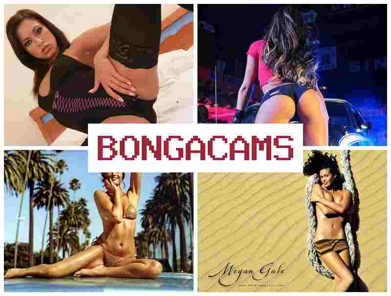 BONGCAMS 💛 Amateur Solo Ass, Solo, Webcam & Gang Bang Big Tits Sex Hot