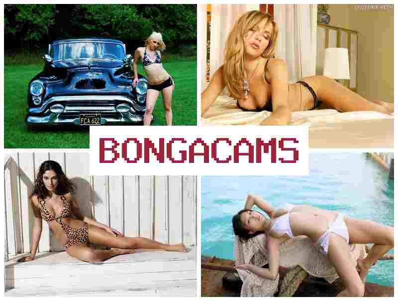 BONGAVAMS 💗 Submissive Slut Porn & Free Hot Sex Video HD